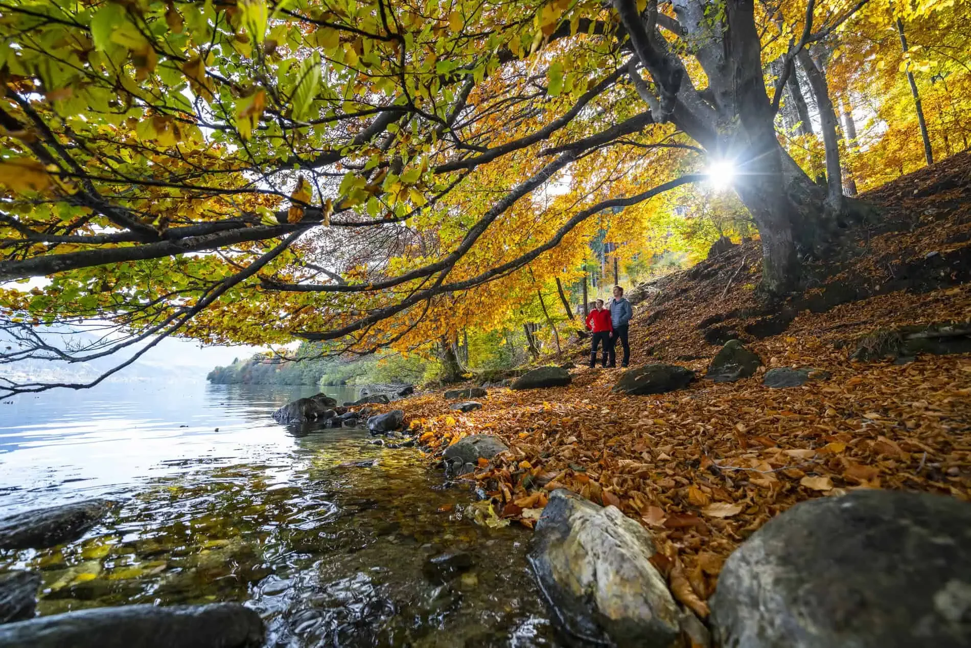 Sommerspaß in Kärnten - Wandern